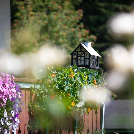 Alpenhof Bed & Breakfast Ramsau am Dachstein Luaran gambar
